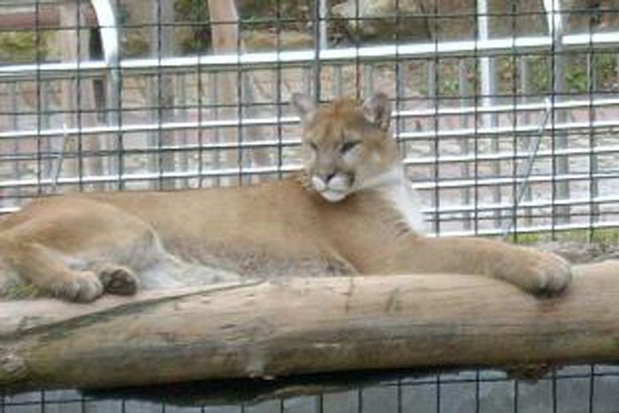 동물원 폐지 반대