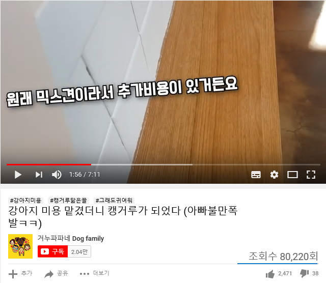 '미용 폭망 브이로그' (사진='거누파파네' 캡처)