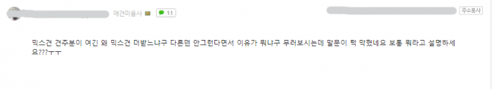 애견 미용사 커뮤니티 (사진=해당 커뮤니티 캡처)