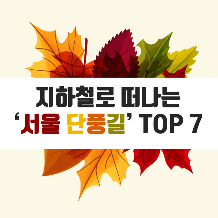 뚜벅이들을 위한 '서울 단풍길' 명소 Top7